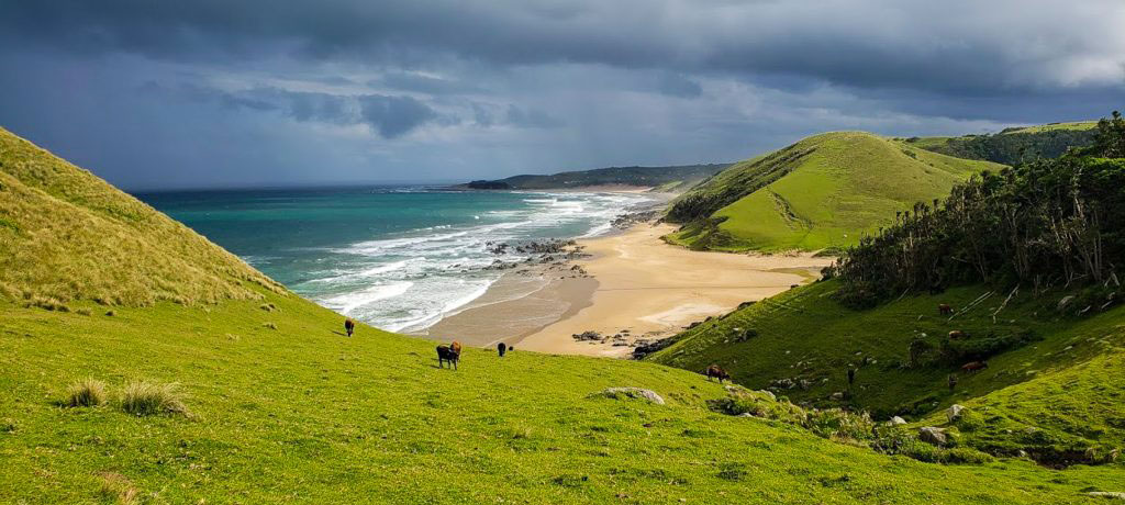 Eastern Cape Wild Coast